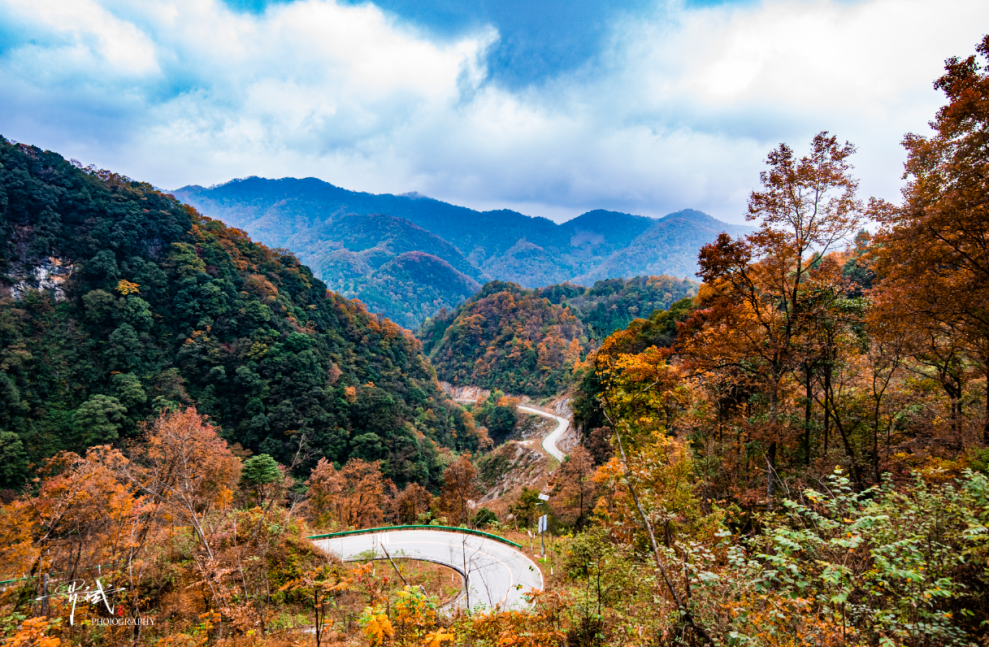 图片[5]-专注于利州本地信息和服务为一体的网站来月坝，解锁一场“多巴胺”初冬-专注于利州本地信息和服务为一体的网站人在旅途论坛-专注于利州本地信息和服务为一体的网站论坛主区-专注于利州本地信息和服务为一体的网站利州江畔