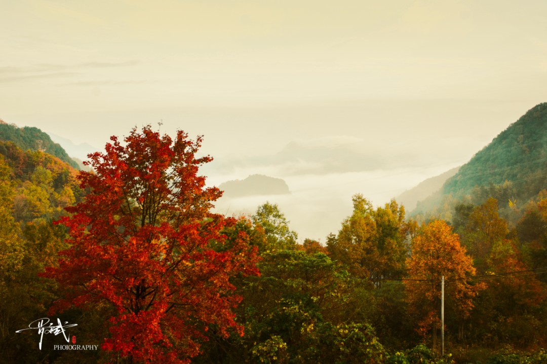 图片[6]-专注于利州本地信息和服务为一体的网站来月坝，解锁一场“多巴胺”初冬-专注于利州本地信息和服务为一体的网站人在旅途论坛-专注于利州本地信息和服务为一体的网站论坛主区-专注于利州本地信息和服务为一体的网站利州江畔