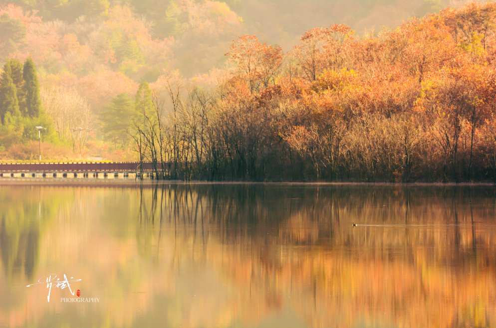 图片[7]-专注于利州本地信息和服务为一体的网站来月坝，解锁一场“多巴胺”初冬-专注于利州本地信息和服务为一体的网站人在旅途论坛-专注于利州本地信息和服务为一体的网站论坛主区-专注于利州本地信息和服务为一体的网站利州江畔