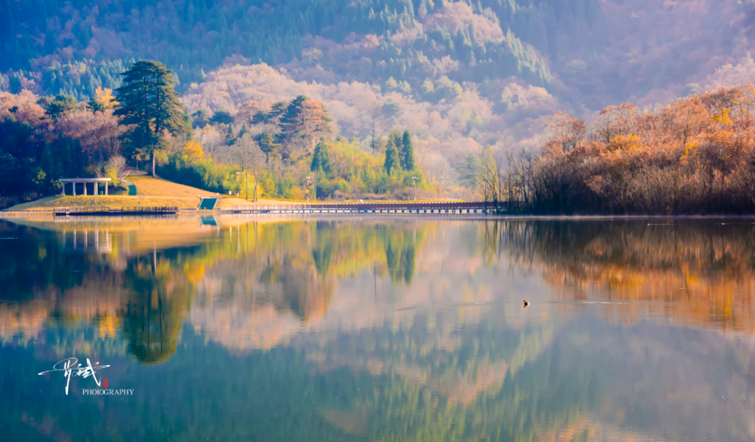 图片[8]-专注于利州本地信息和服务为一体的网站来月坝，解锁一场“多巴胺”初冬-专注于利州本地信息和服务为一体的网站人在旅途论坛-专注于利州本地信息和服务为一体的网站论坛主区-专注于利州本地信息和服务为一体的网站利州江畔