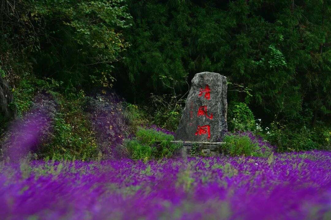 图片[10]-专注于利州本地信息和服务为一体的网站来月坝，解锁一场“多巴胺”初冬-专注于利州本地信息和服务为一体的网站人在旅途论坛-专注于利州本地信息和服务为一体的网站论坛主区-专注于利州本地信息和服务为一体的网站利州江畔