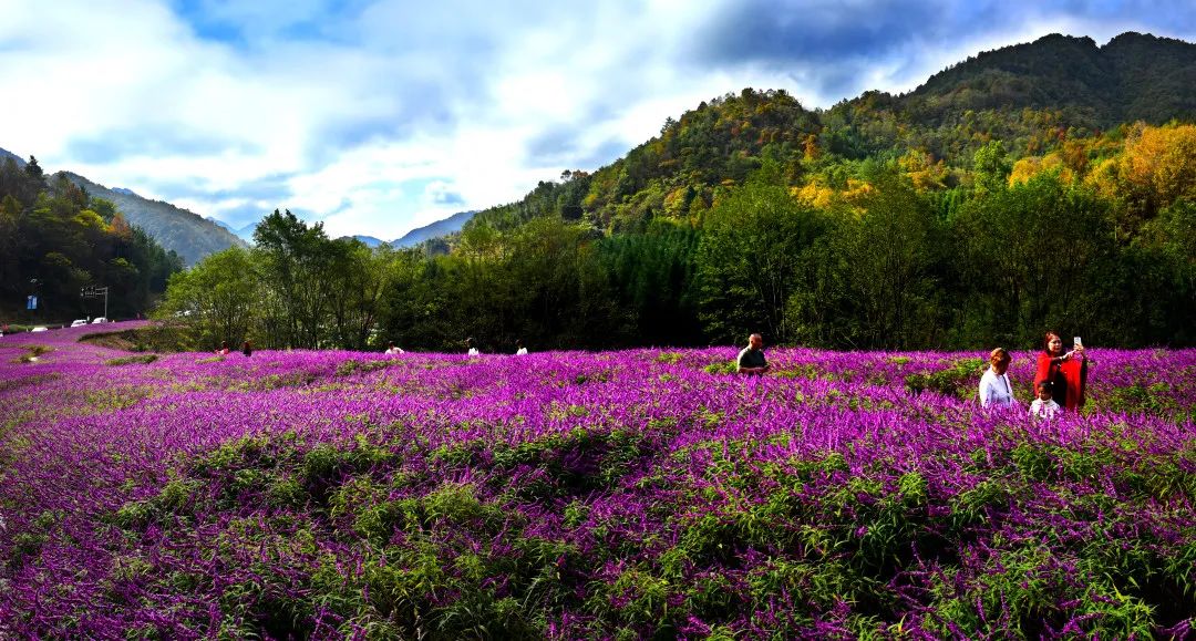 图片[12]-专注于利州本地信息和服务为一体的网站来月坝，解锁一场“多巴胺”初冬-专注于利州本地信息和服务为一体的网站人在旅途论坛-专注于利州本地信息和服务为一体的网站论坛主区-专注于利州本地信息和服务为一体的网站利州江畔
