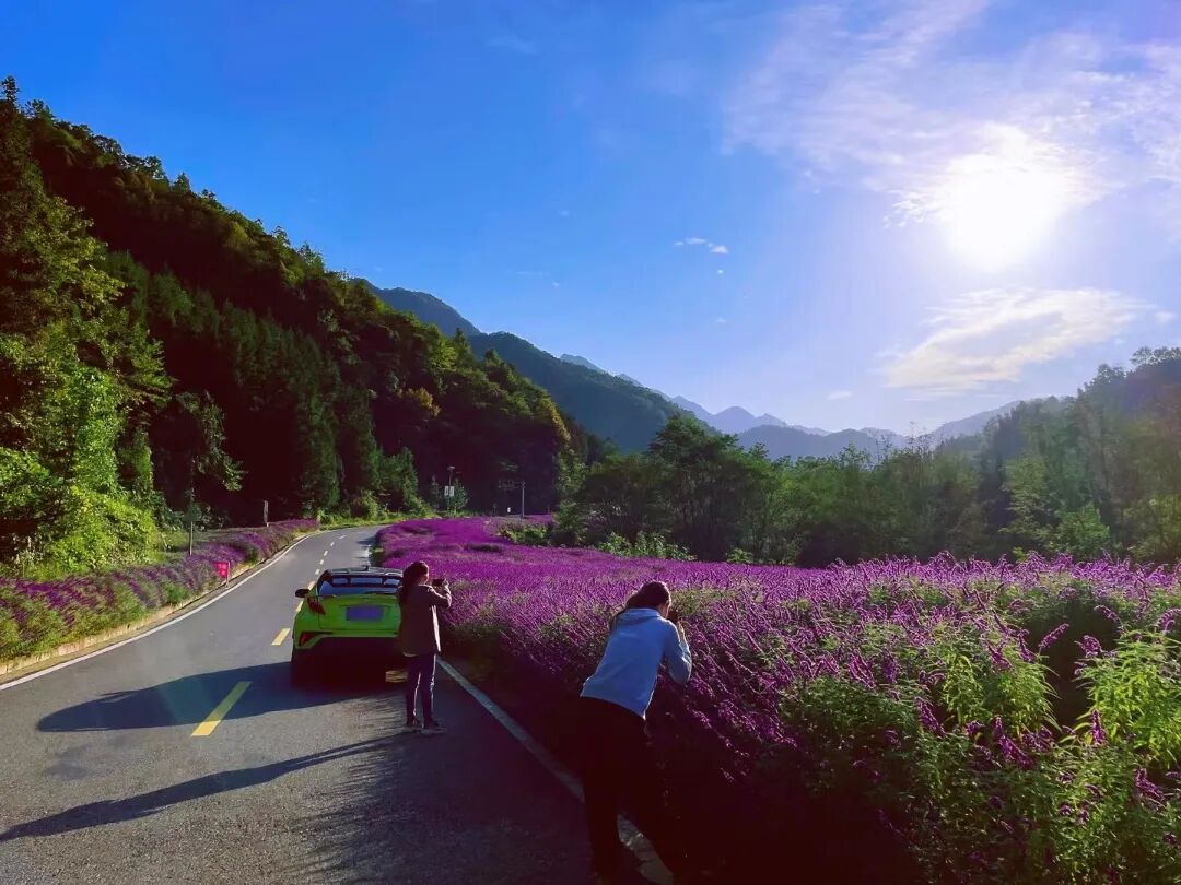 图片[13]-专注于利州本地信息和服务为一体的网站来月坝，解锁一场“多巴胺”初冬-专注于利州本地信息和服务为一体的网站人在旅途论坛-专注于利州本地信息和服务为一体的网站论坛主区-专注于利州本地信息和服务为一体的网站利州江畔