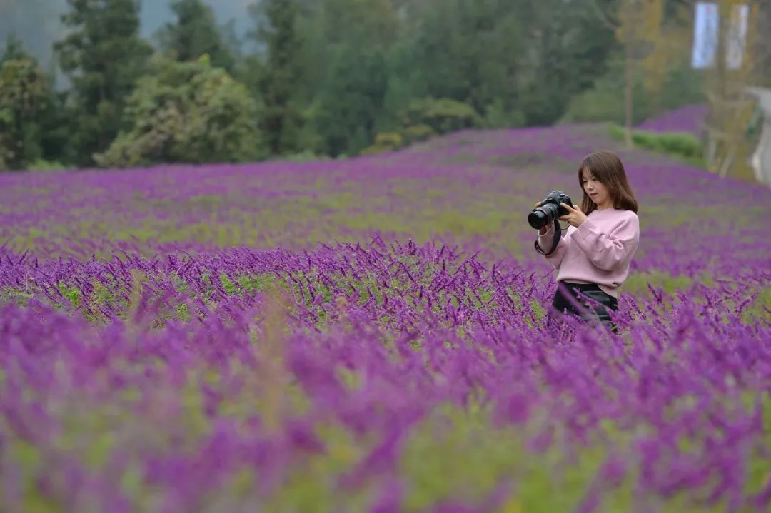 图片[14]-专注于利州本地信息和服务为一体的网站来月坝，解锁一场“多巴胺”初冬-专注于利州本地信息和服务为一体的网站人在旅途论坛-专注于利州本地信息和服务为一体的网站论坛主区-专注于利州本地信息和服务为一体的网站利州江畔