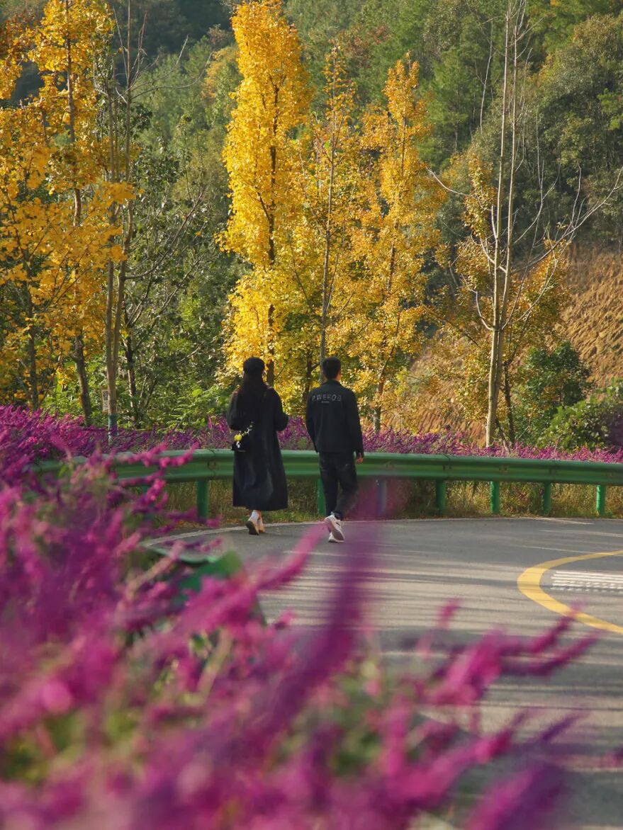 图片[15]-专注于利州本地信息和服务为一体的网站来月坝，解锁一场“多巴胺”初冬-专注于利州本地信息和服务为一体的网站人在旅途论坛-专注于利州本地信息和服务为一体的网站论坛主区-专注于利州本地信息和服务为一体的网站利州江畔