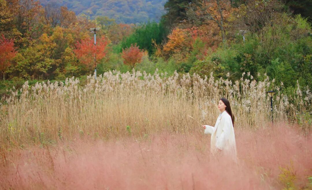 图片[17]-专注于利州本地信息和服务为一体的网站来月坝，解锁一场“多巴胺”初冬-专注于利州本地信息和服务为一体的网站人在旅途论坛-专注于利州本地信息和服务为一体的网站论坛主区-专注于利州本地信息和服务为一体的网站利州江畔