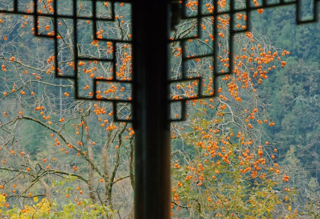 图片[19]-专注于利州本地信息和服务为一体的网站来月坝，解锁一场“多巴胺”初冬-专注于利州本地信息和服务为一体的网站人在旅途论坛-专注于利州本地信息和服务为一体的网站论坛主区-专注于利州本地信息和服务为一体的网站利州江畔