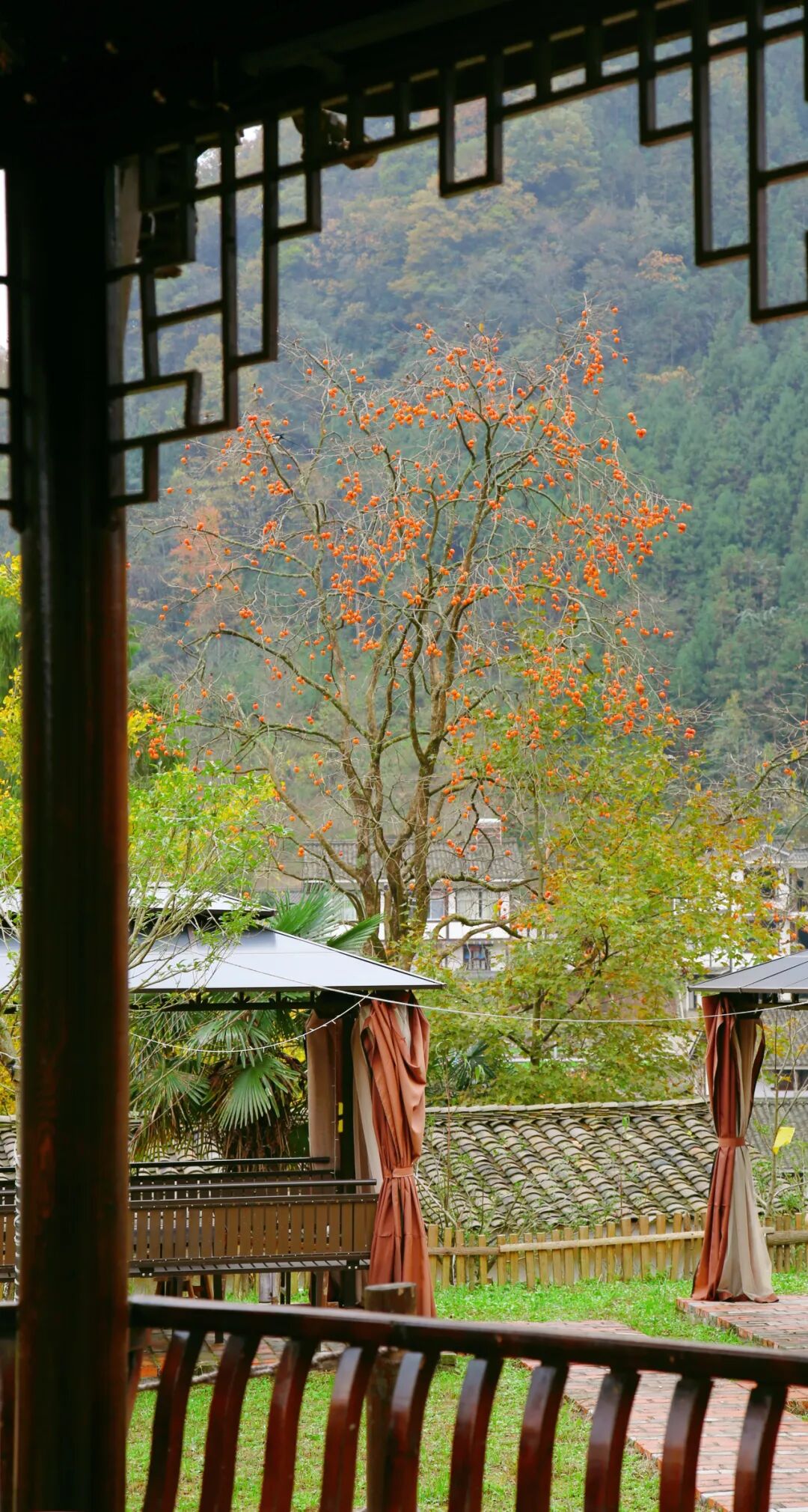 图片[21]-专注于利州本地信息和服务为一体的网站来月坝，解锁一场“多巴胺”初冬-专注于利州本地信息和服务为一体的网站人在旅途论坛-专注于利州本地信息和服务为一体的网站论坛主区-专注于利州本地信息和服务为一体的网站利州江畔