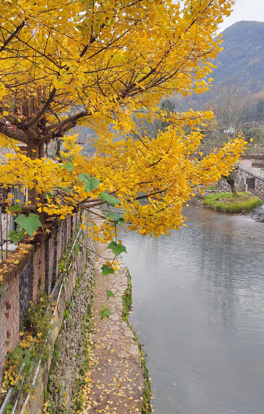 图片[23]-专注于利州本地信息和服务为一体的网站来月坝，解锁一场“多巴胺”初冬-专注于利州本地信息和服务为一体的网站人在旅途论坛-专注于利州本地信息和服务为一体的网站论坛主区-专注于利州本地信息和服务为一体的网站利州江畔