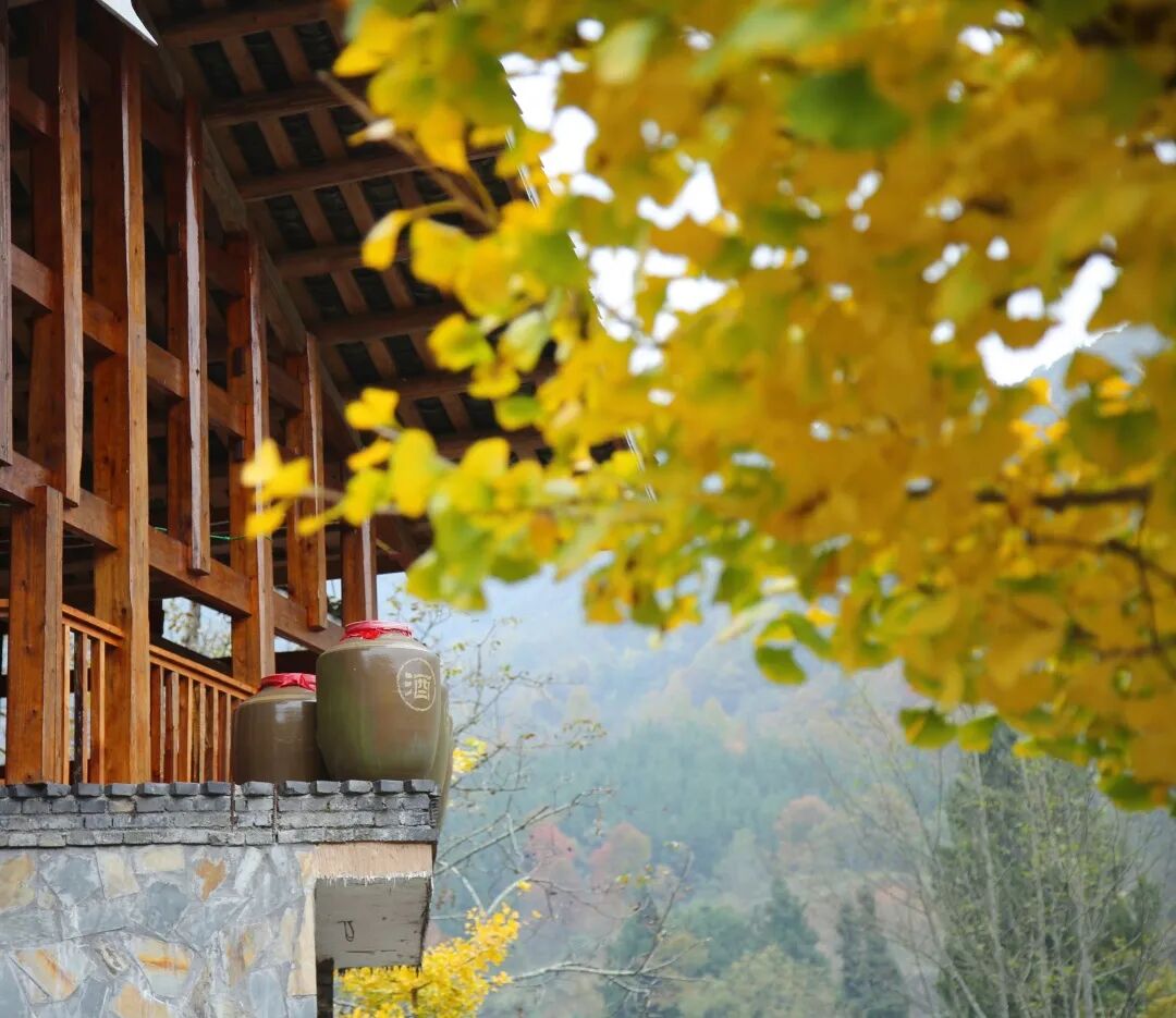 图片[24]-专注于利州本地信息和服务为一体的网站来月坝，解锁一场“多巴胺”初冬-专注于利州本地信息和服务为一体的网站人在旅途论坛-专注于利州本地信息和服务为一体的网站论坛主区-专注于利州本地信息和服务为一体的网站利州江畔