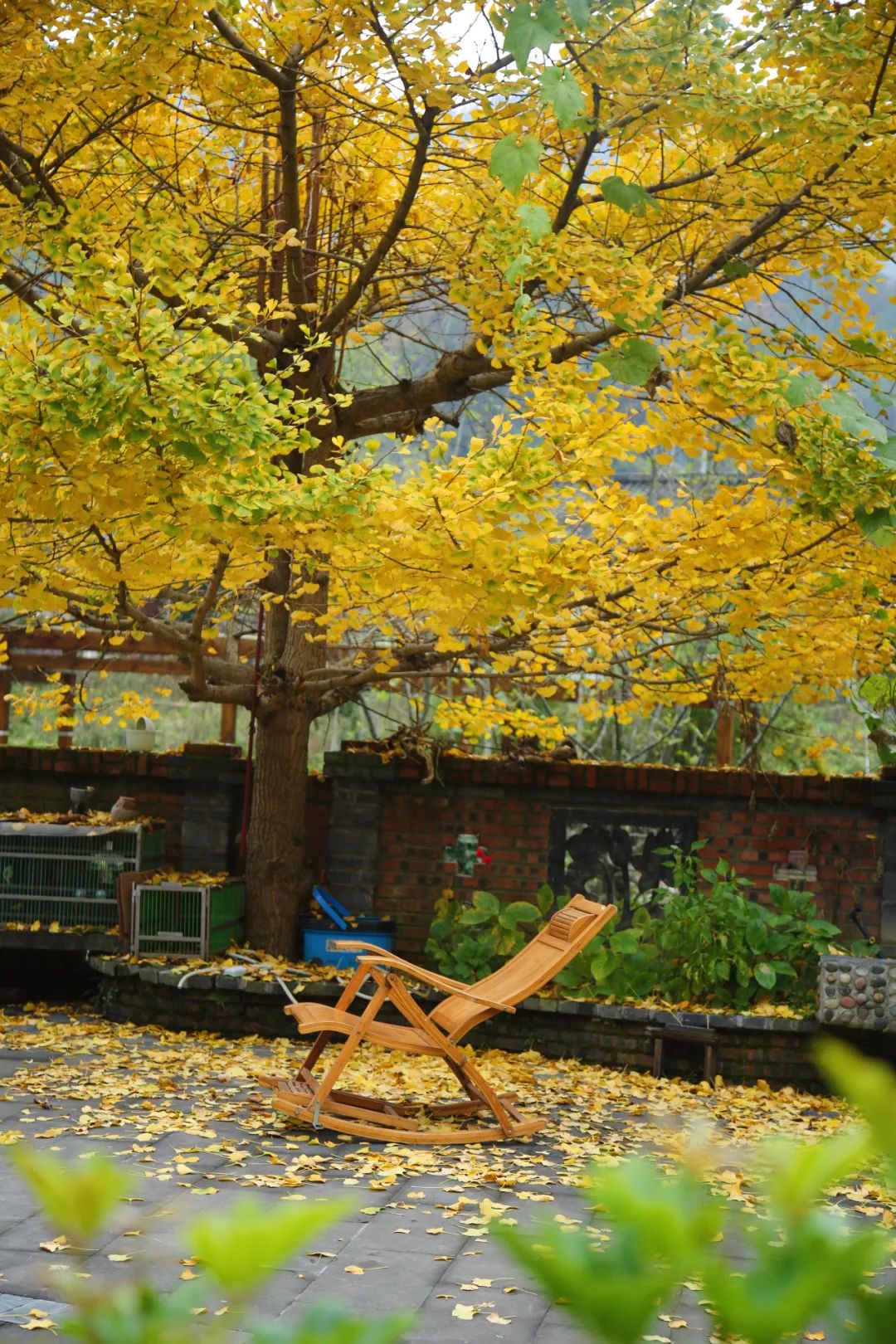 图片[25]-专注于利州本地信息和服务为一体的网站来月坝，解锁一场“多巴胺”初冬-专注于利州本地信息和服务为一体的网站人在旅途论坛-专注于利州本地信息和服务为一体的网站论坛主区-专注于利州本地信息和服务为一体的网站利州江畔