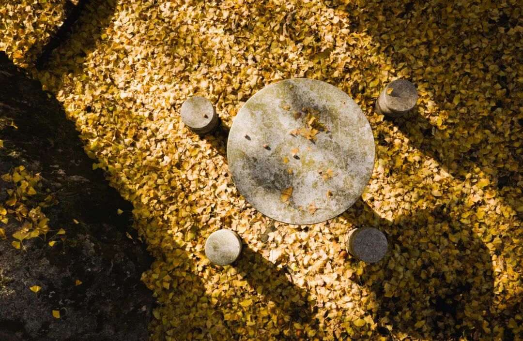 图片[27]-专注于利州本地信息和服务为一体的网站来月坝，解锁一场“多巴胺”初冬-专注于利州本地信息和服务为一体的网站人在旅途论坛-专注于利州本地信息和服务为一体的网站论坛主区-专注于利州本地信息和服务为一体的网站利州江畔