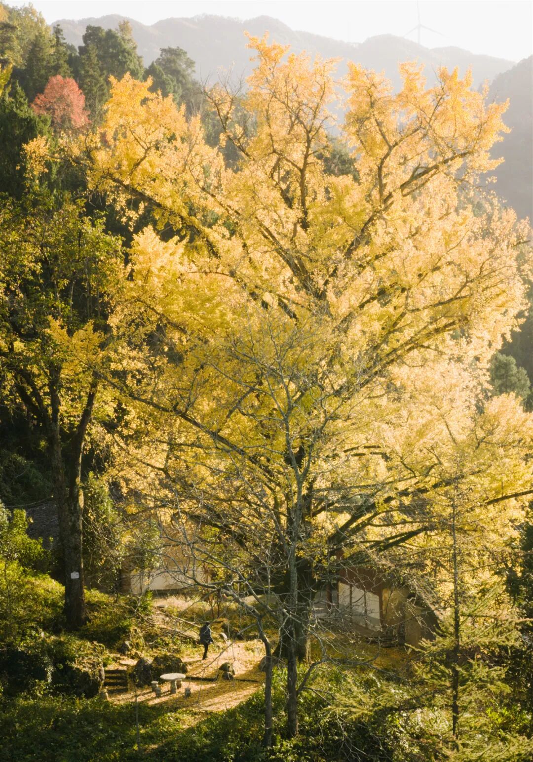 图片[28]-专注于利州本地信息和服务为一体的网站来月坝，解锁一场“多巴胺”初冬-专注于利州本地信息和服务为一体的网站人在旅途论坛-专注于利州本地信息和服务为一体的网站论坛主区-专注于利州本地信息和服务为一体的网站利州江畔