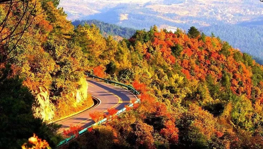 见一面吧，在初冬的天曌山！-专注于利州本地信息和服务为一体的网站利州江畔