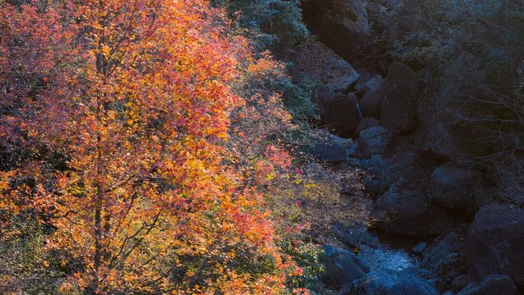 图片[6]-专注于利州本地信息和服务为一体的网站见一面吧，在初冬的天曌山！-专注于利州本地信息和服务为一体的网站人在旅途论坛-专注于利州本地信息和服务为一体的网站论坛主区-专注于利州本地信息和服务为一体的网站利州江畔
