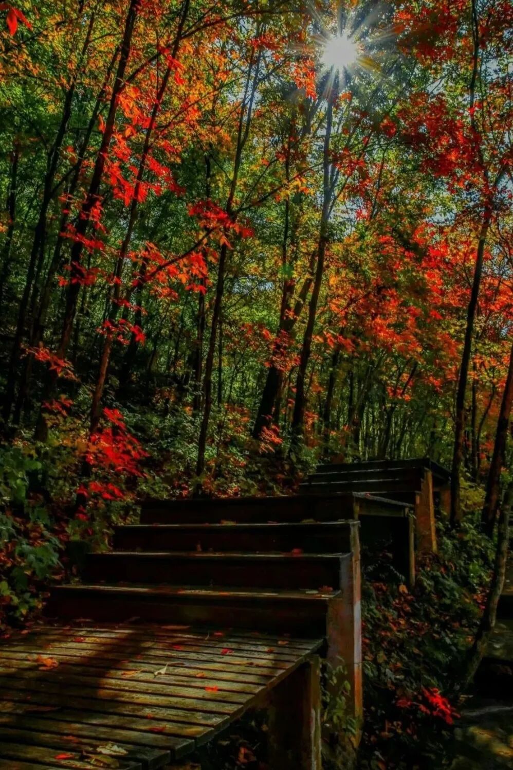 图片[7]-专注于利州本地信息和服务为一体的网站见一面吧，在初冬的天曌山！-专注于利州本地信息和服务为一体的网站人在旅途论坛-专注于利州本地信息和服务为一体的网站论坛主区-专注于利州本地信息和服务为一体的网站利州江畔