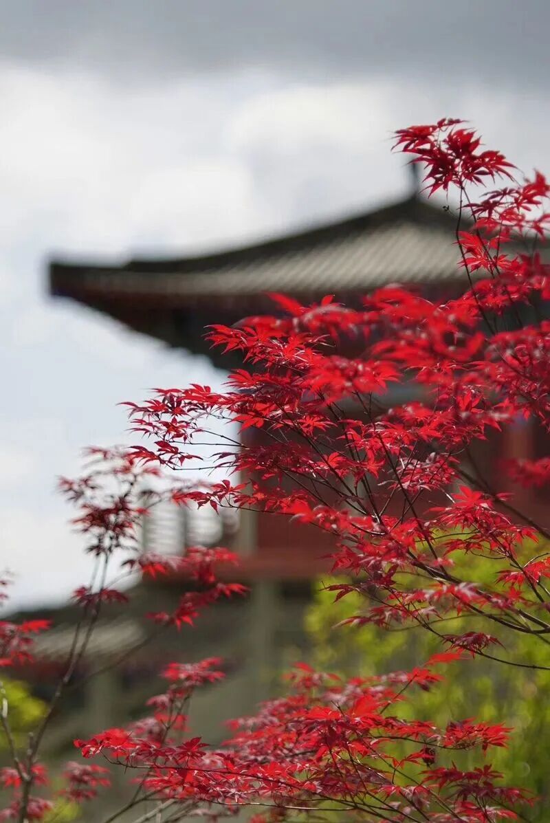 图片[12]-专注于利州本地信息和服务为一体的网站见一面吧，在初冬的天曌山！-专注于利州本地信息和服务为一体的网站人在旅途论坛-专注于利州本地信息和服务为一体的网站论坛主区-专注于利州本地信息和服务为一体的网站利州江畔