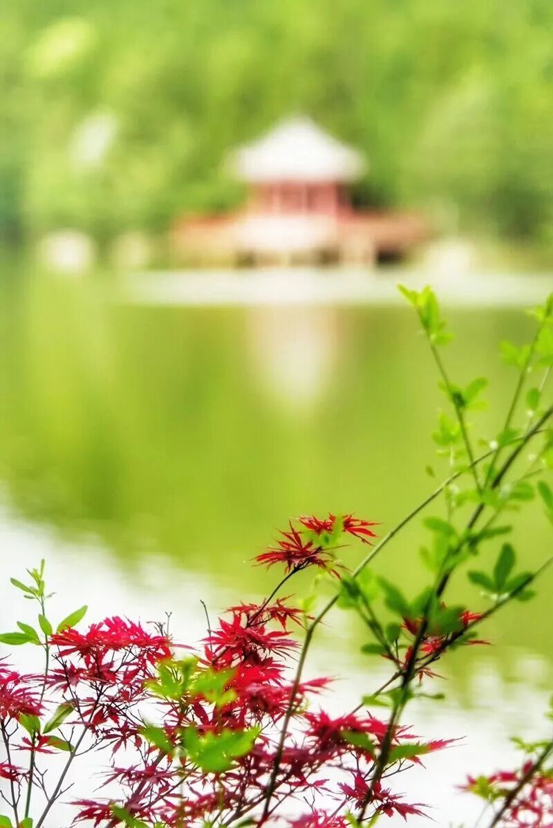 图片[13]-专注于利州本地信息和服务为一体的网站见一面吧，在初冬的天曌山！-专注于利州本地信息和服务为一体的网站人在旅途论坛-专注于利州本地信息和服务为一体的网站论坛主区-专注于利州本地信息和服务为一体的网站利州江畔